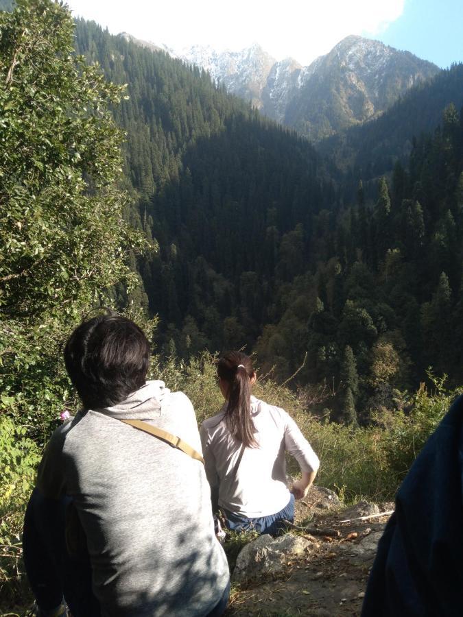 The Tirthan Eagle Nest, Tirthan Valley Jibhi Ngoại thất bức ảnh