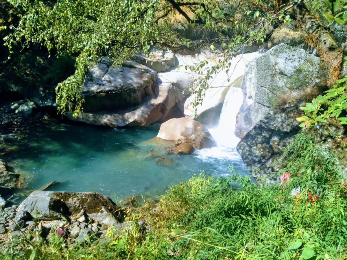 The Tirthan Eagle Nest, Tirthan Valley Jibhi Ngoại thất bức ảnh